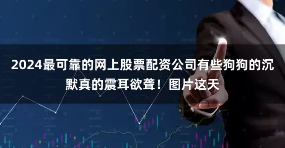 2024最可靠的网上股票配资公司有些狗狗的沉默真的震耳欲聋！图片这天