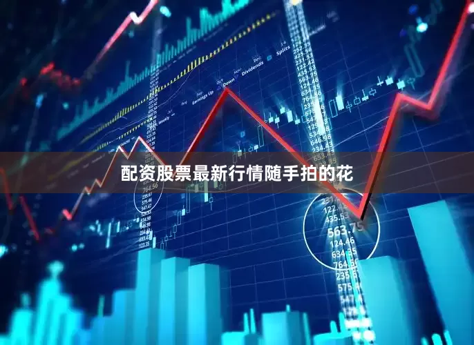 配资股票最新行情随手拍的花