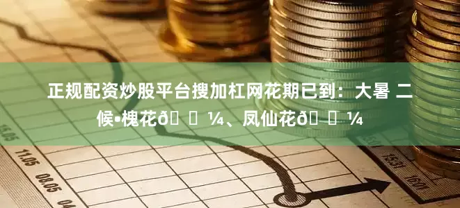 正规配资炒股平台搜加杠网花期已到:大暑 二候•槐花🌼、凤仙花🌼